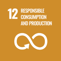 responsible consumption and production